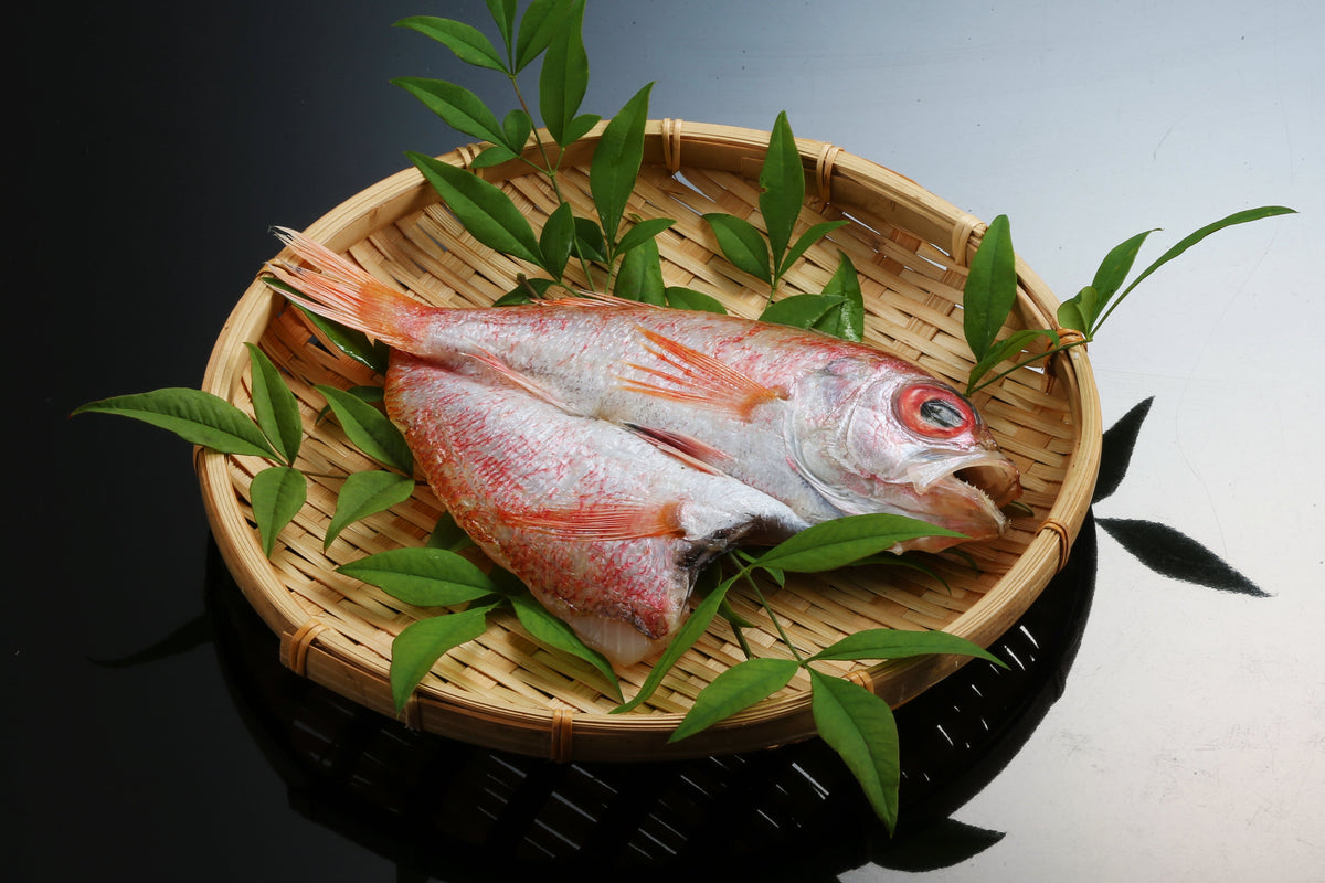 のどぐろ開き(干物)【冷凍】