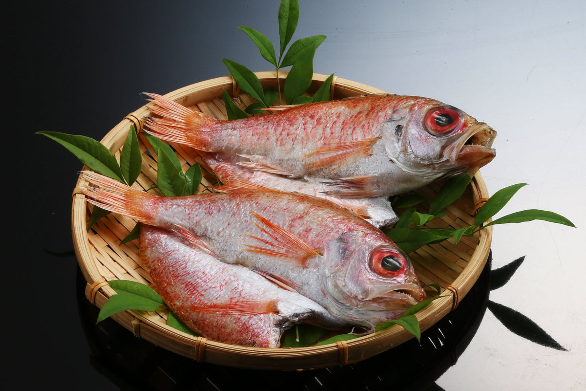 のどぐろ開き(干物)【冷凍】