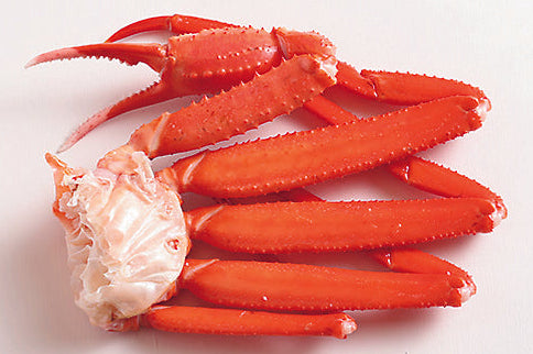 【限定商品】香住ガニ 茹肩 1肩【冷蔵】 大大大サイズ