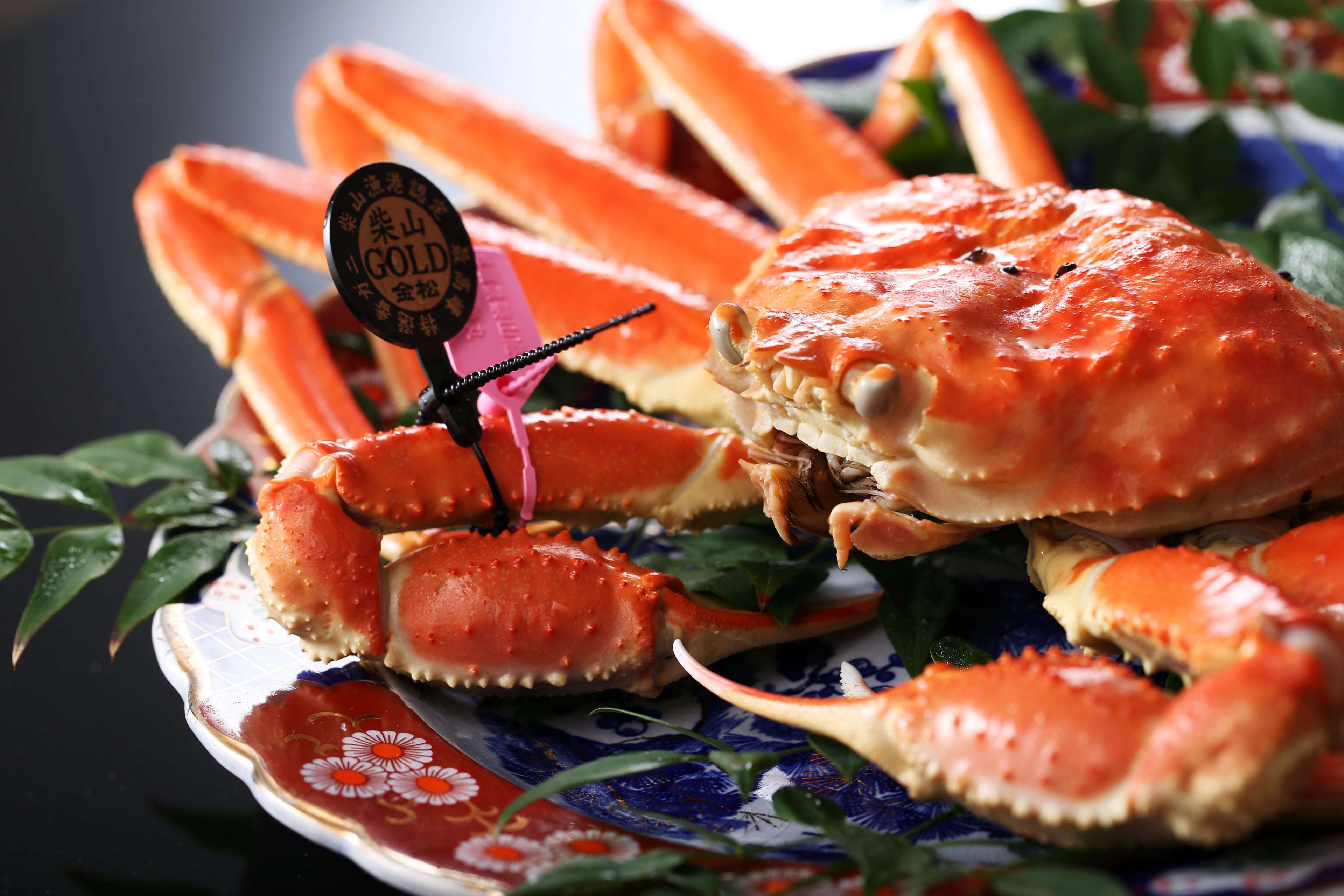 柴山がに 茹姿柴山ゴールド  1匹【冷蔵】 (1月11日~3月末着分)