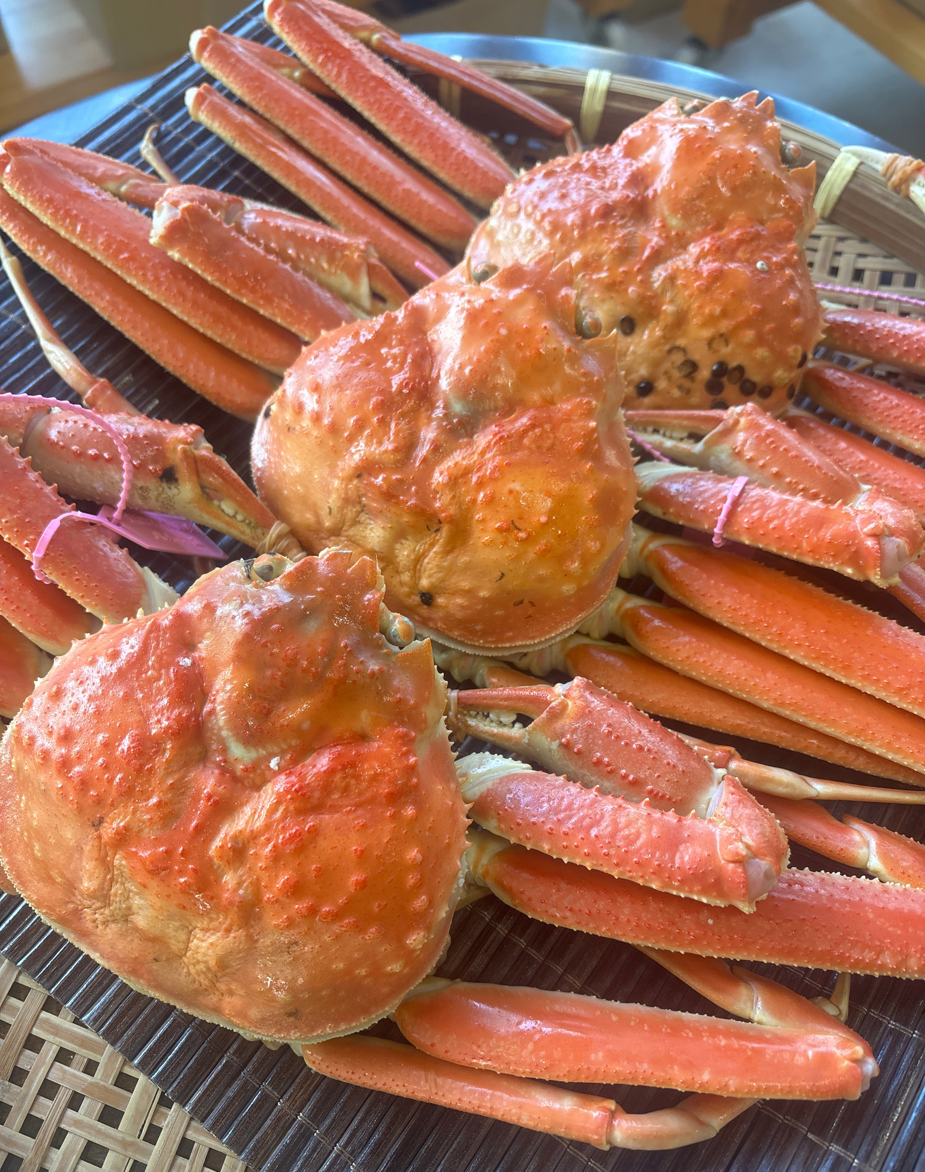 『訳あり』1匹およそ500グラム茹で柴山がにを 3匹で10,000円【冷蔵】〈限定販売〉