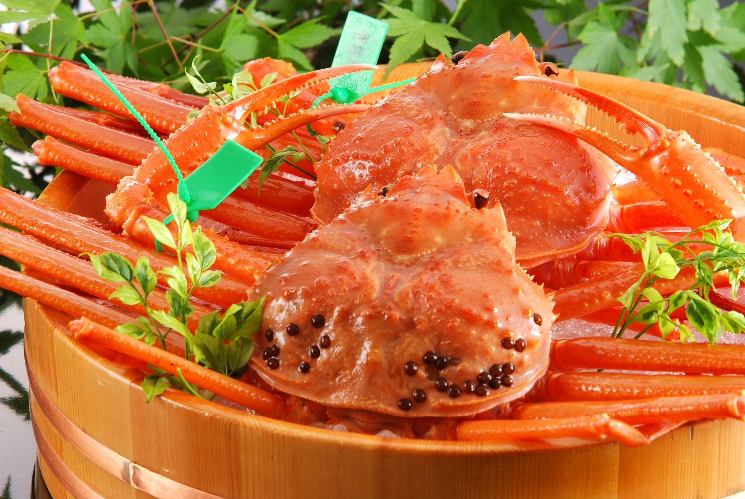 香住ガニ 生姿 1匹【冷凍】