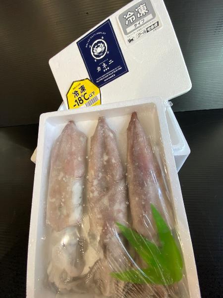 白いか【冷凍】