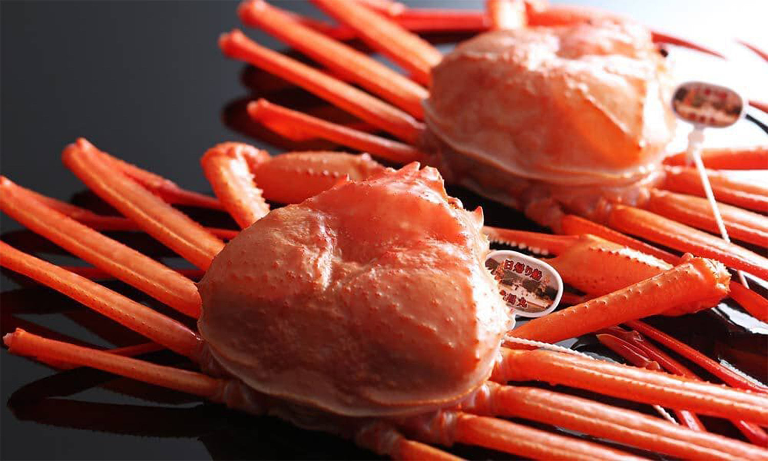 Kasumi crab, live (refrigerated)