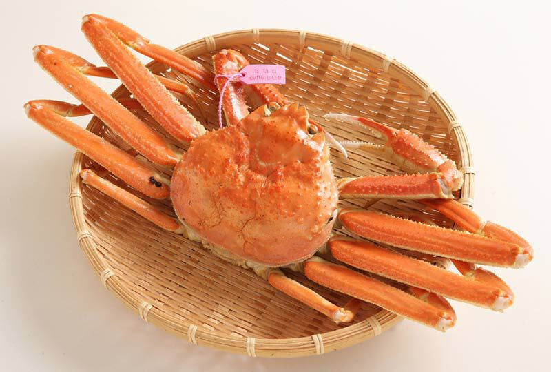 柴山がに 茹姿【冷蔵】(1匹 30,000円ランク)
