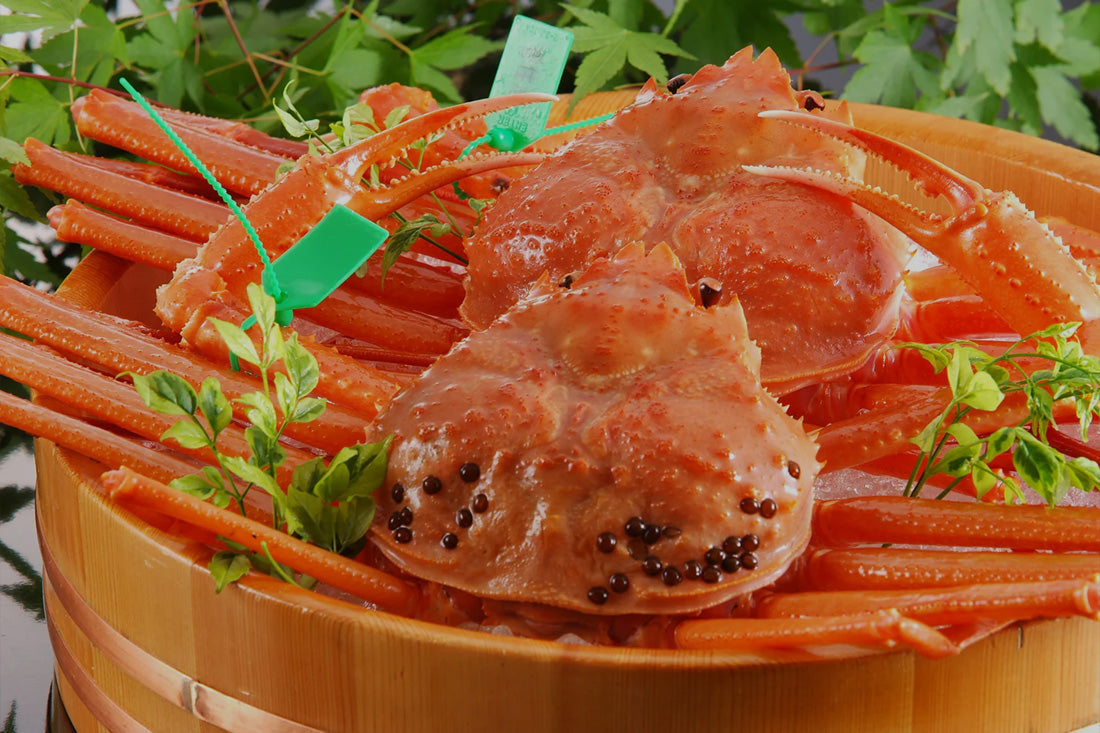 香住の秋は、海からやってくる。