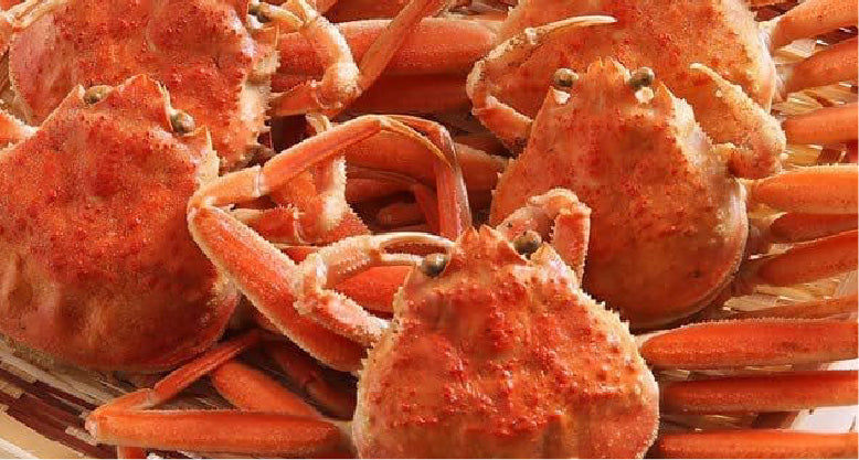 冬の味覚、せこがに