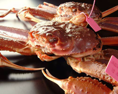 価格改定に伴いサイトリューアルしました