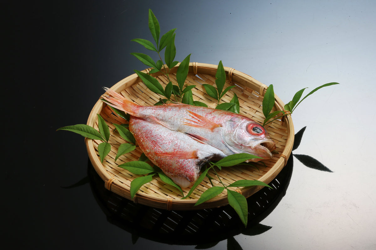 のどぐろ開き（干物）【冷凍】