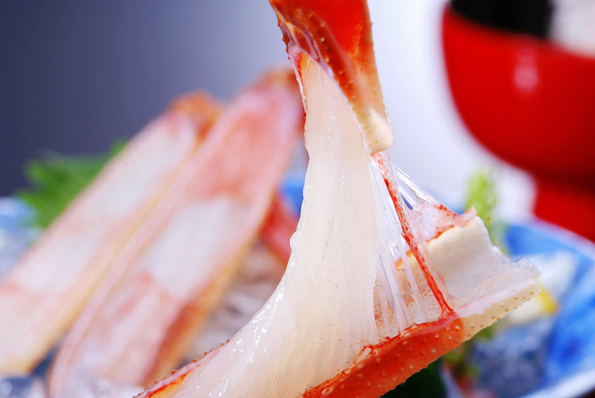 Shibayama crab, live [refrigerated] (10,000 yen rank)