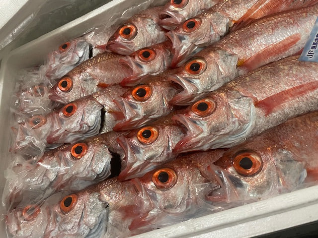 Filleted blackthroat seaperch (dried fish) [frozen]