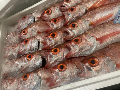 Filleted blackthroat seaperch (dried fish) [frozen]