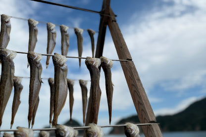 Sandfish (dried fish) [frozen]