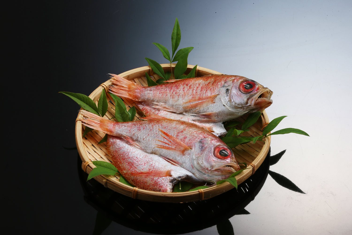 のどぐろ開き（干物）【冷凍】