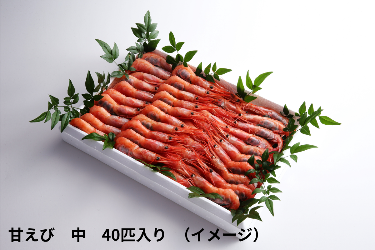 甘えび【冷凍】