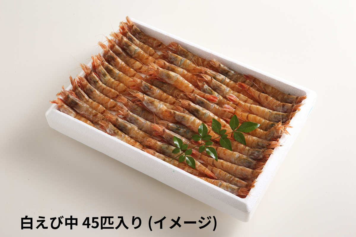 白えび【冷凍】