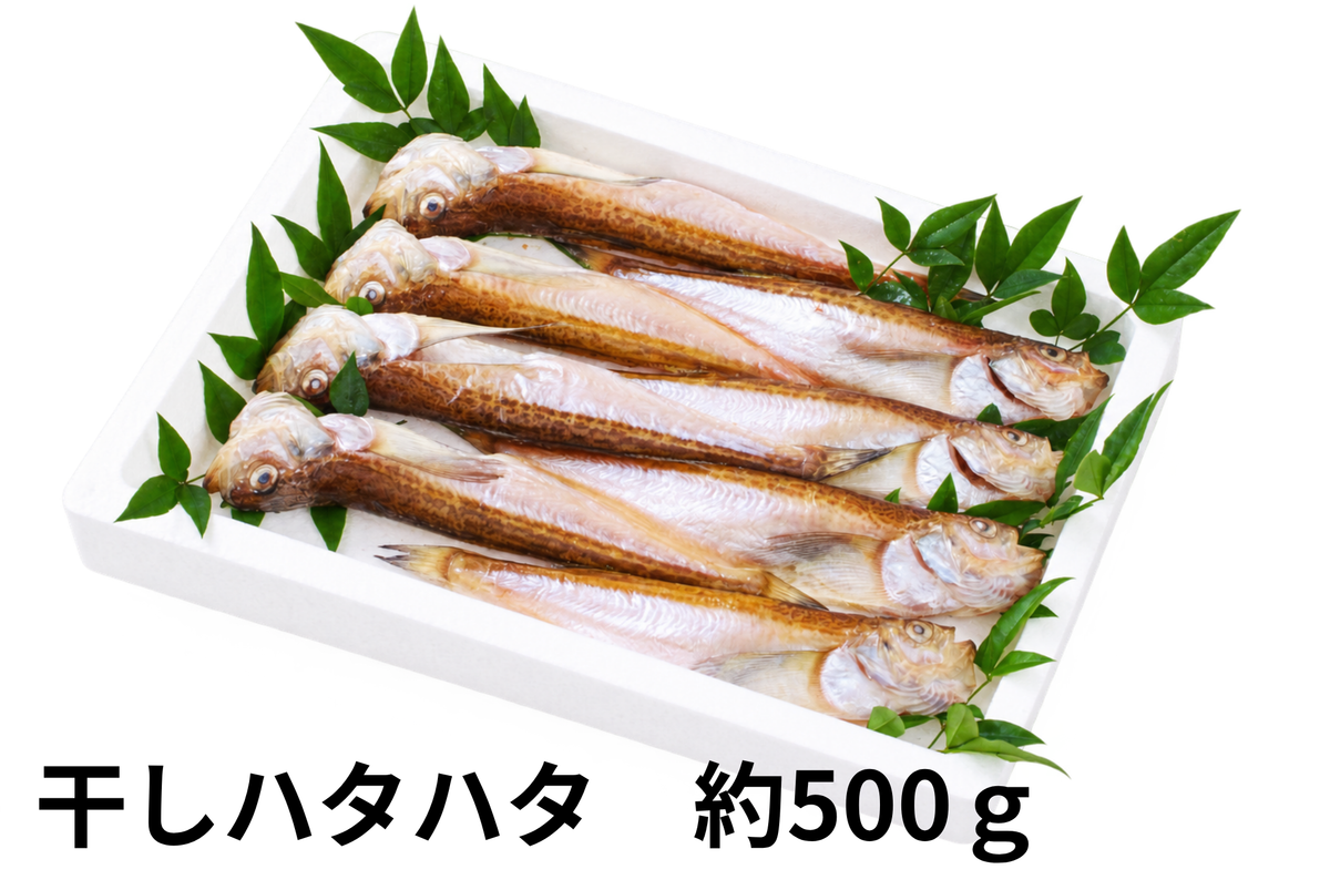 Sandfish (dried fish) [frozen]