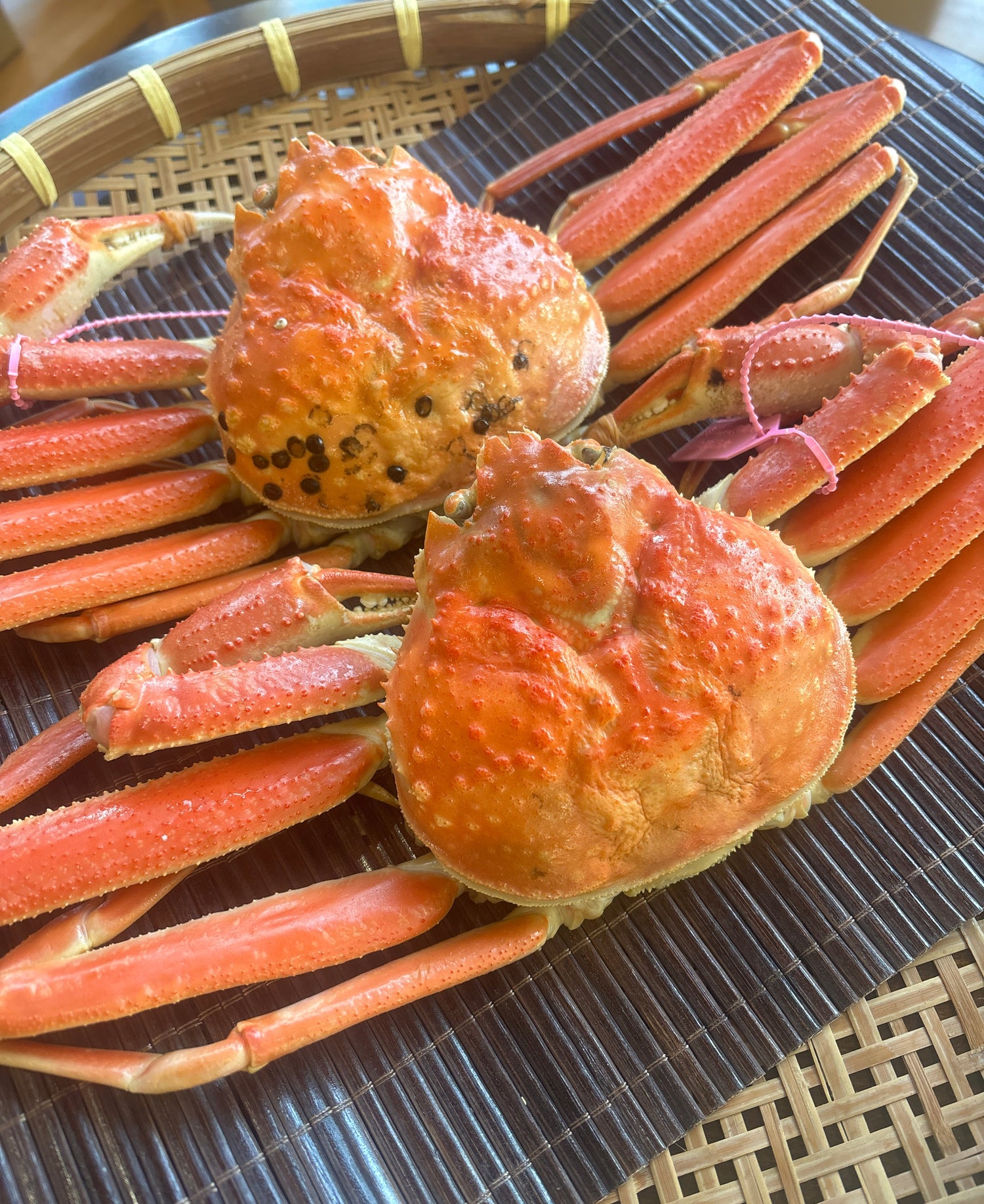 Boiled Shibayama crab [refrigerated] (20,000 yen rank)