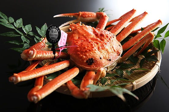 柴山がに　茹姿　柴山シルバー 1匹【冷蔵】　（11月21日～12月10日着分）