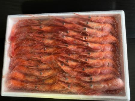 甘えび【冷凍】