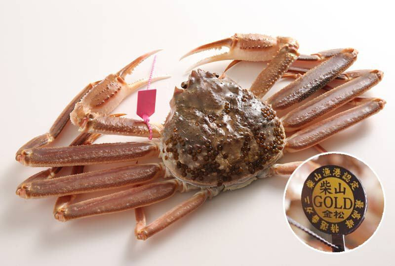 Shibayama Crab Live Shibayama Gold [refrigerated] (Arrival November 21st to December 10th)