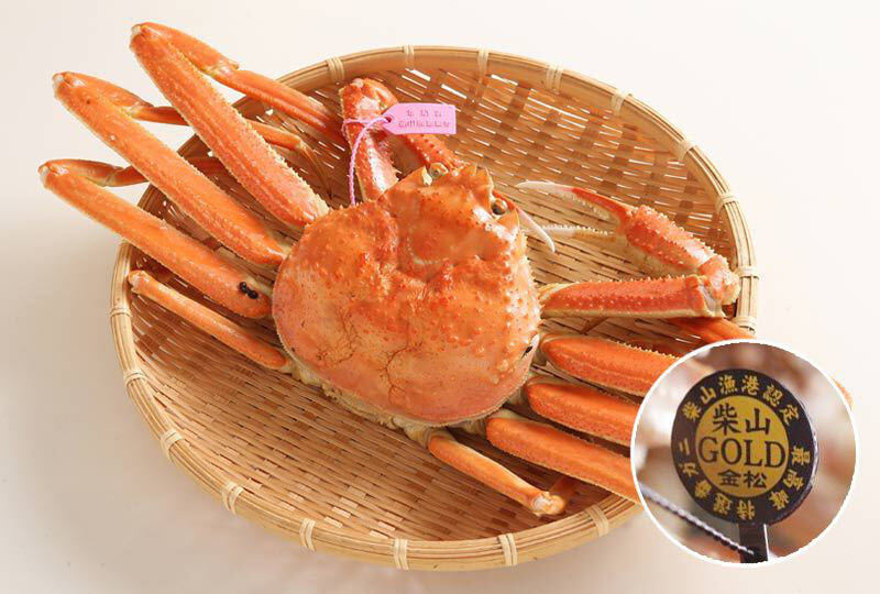 柴山がに　茹姿柴山ゴールド 1匹【冷蔵】　　（11月11日～11月20日着分）