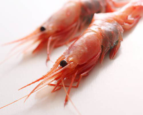 Sweet shrimp [frozen]